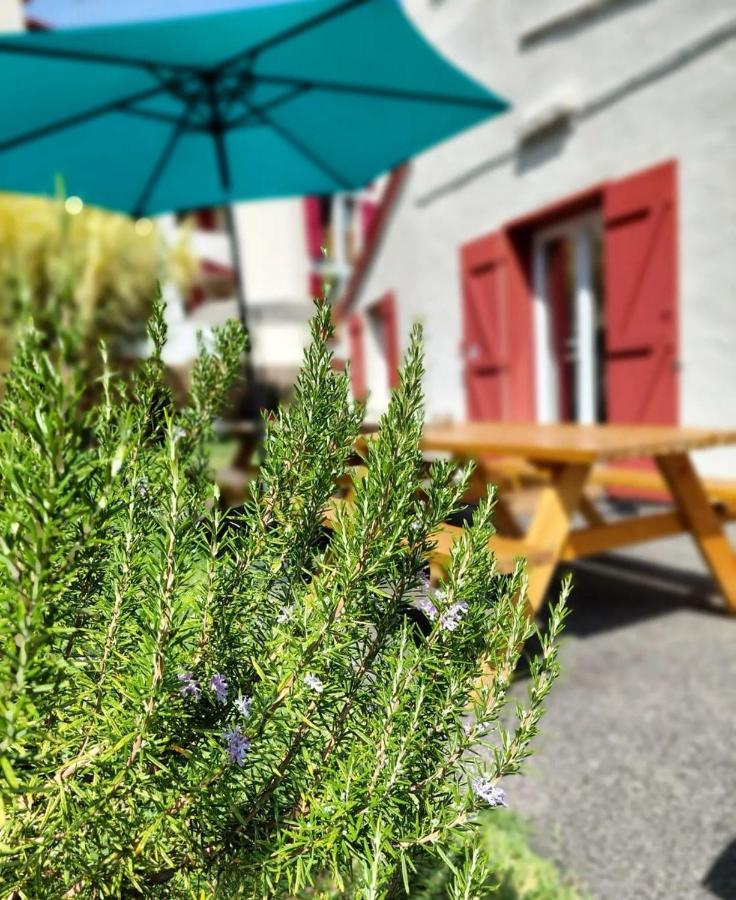 Garden - Utopy Hostel Biarritz Zewnętrze zdjęcie